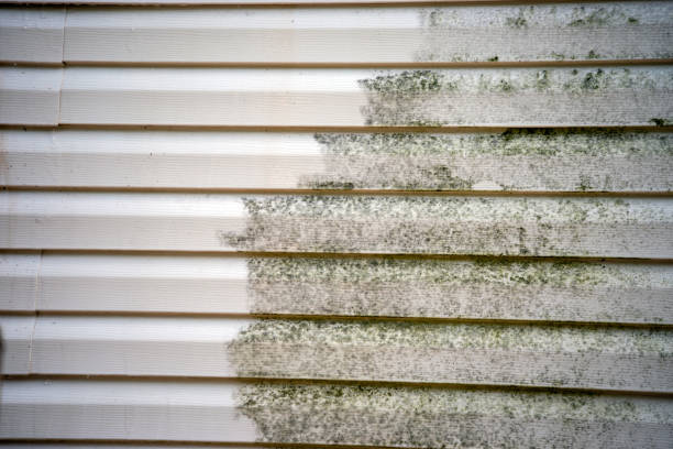Best Siding Removal and Disposal  in Whippany, NJ