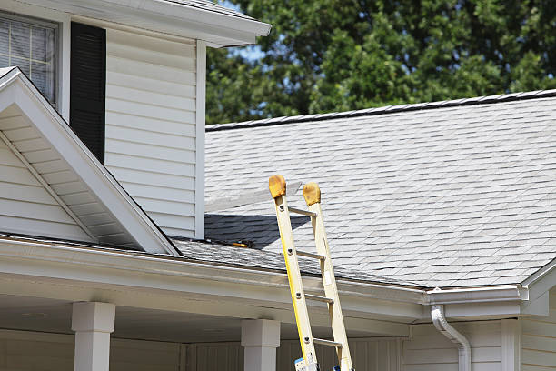 Best Siding Replacement  in Whippany, NJ