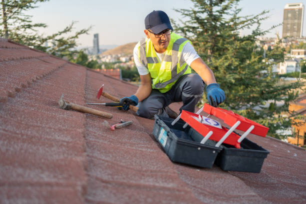 Best Siding Painting and Refinishing  in Whippany, NJ