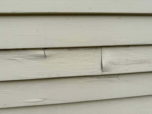Affordable siding repair and maintenance services in Whippany, NJ